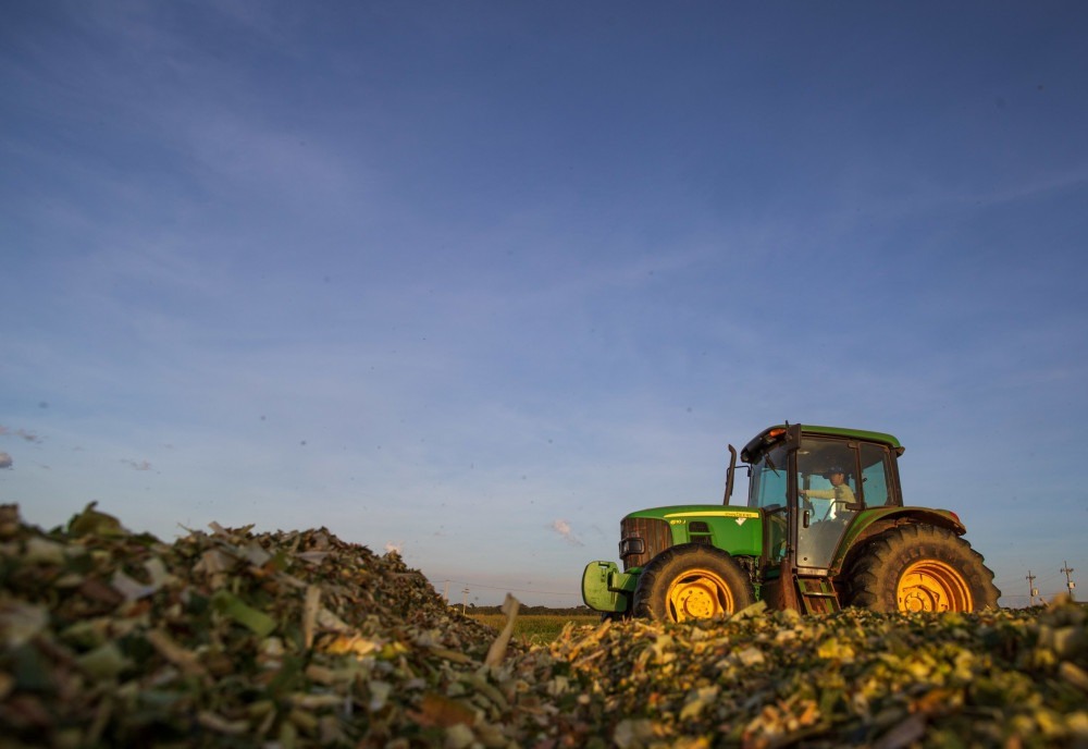 Senar abre seleção para cursos técnicos em agronegócio e fruticultura