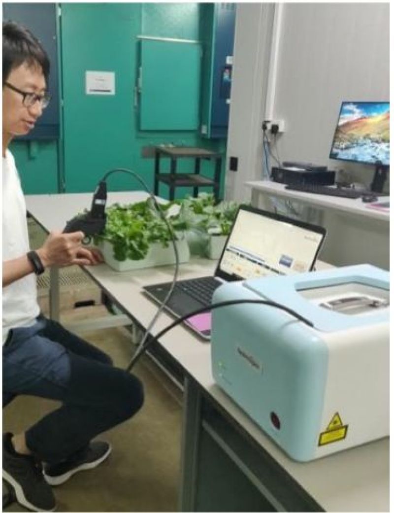 Sensor criado em Cingapura monitora a saúde da safra