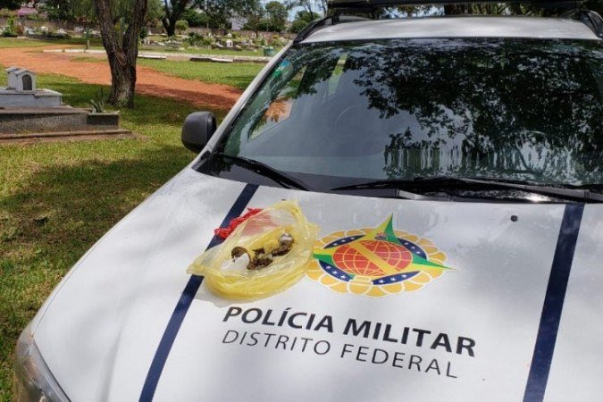 É a segunda vez que a polícia encontra drogas no local - (crédito: Divulgação/PMDF) É a segunda vez que a polícia encontra drogas no local - (crédito: Divulgação/PMDF)
