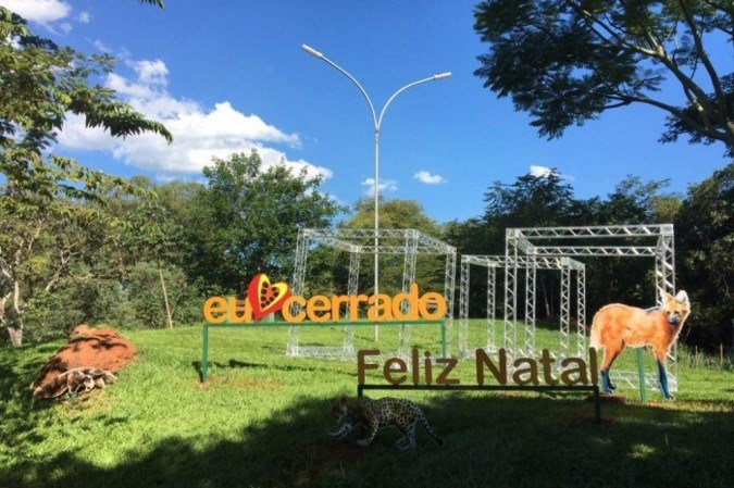 Frequentadores ganham sementes e mudas como parte do projeto Natal nos Parques - (crédito: Divulgação/Brasília Ambiental) Frequentadores ganham sementes e mudas como parte do projeto Natal nos Parques - (crédito: Divulgação/Brasília Ambiental)