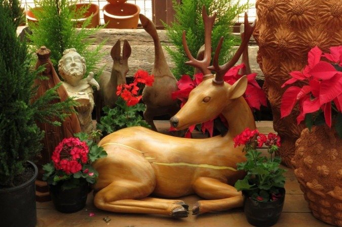 As plantas com folhagem vermelha s&atilde;o garantia de sucesso nesta &eacute;poca, como estas do viveiro Fruit Garden