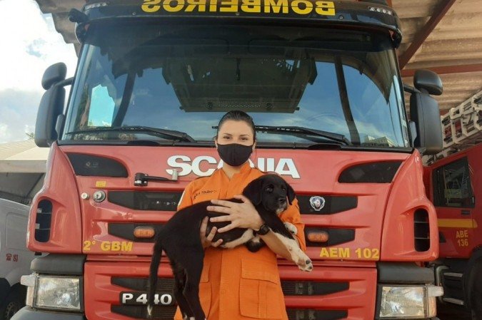  (crédito: CBMDF/Divulgação)