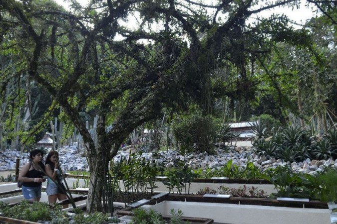  (crédito: Tomaz Silva/Agência Brasil)