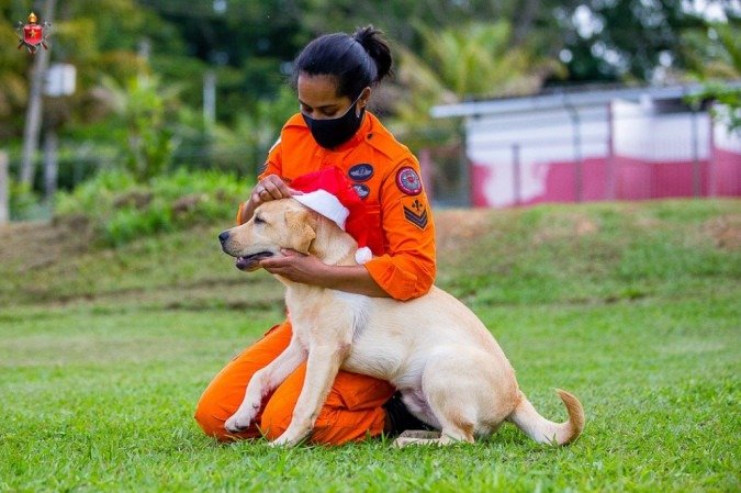 O objetivo é alertar sobre o uso de fogos nas festas e desejar um feliz Natal a todos.