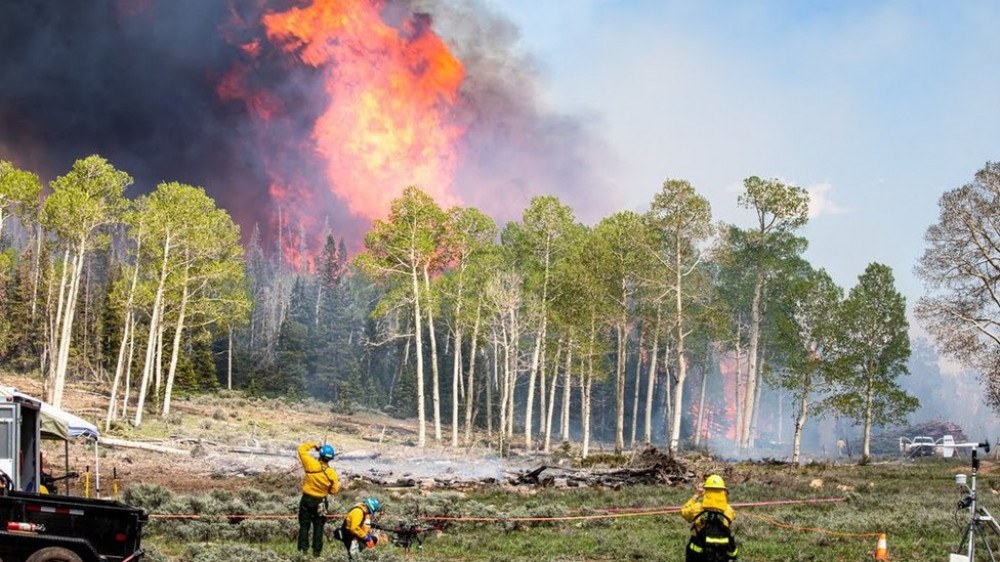 Fumaça de incêndios florestais pode ser nova rota de disseminação de doenças infecciosas