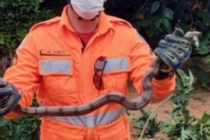  (crédito: Bombeiros/Divulgação)