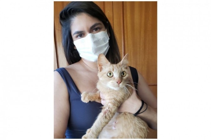 Cecília Prado criou a ONG Clube do Gato para desmistificar a ideia de que o felino é um animal traiçoeiro 