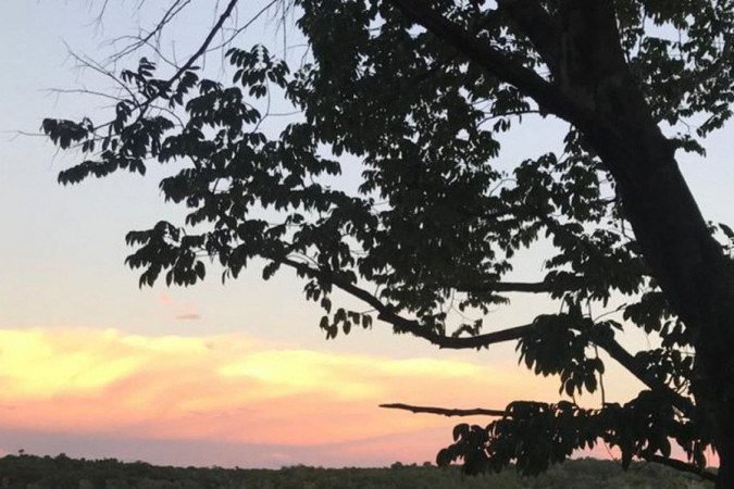 (crédito: Bruno Mangolini/Poranduba Amazônia/Direitos Reservados) (crédito: Bruno Mangolini/Poranduba Amazônia/Direitos Reservados)