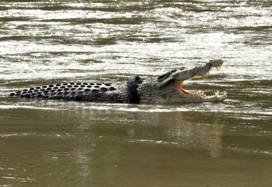 Muhammad Rikfi/AFP