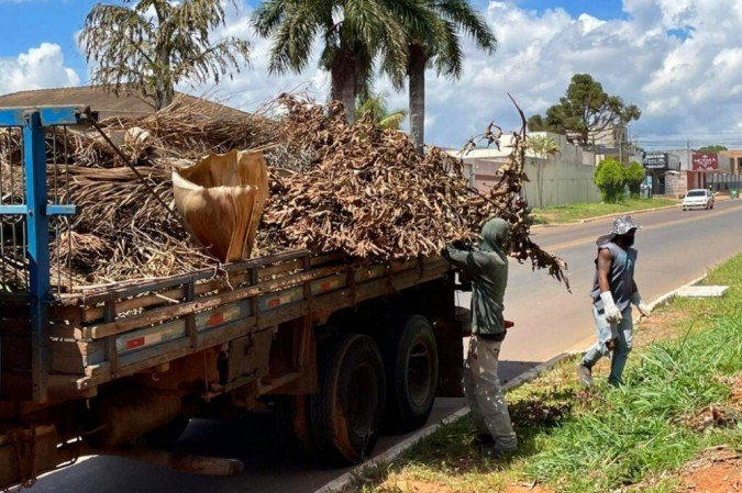 (crédito: Divulgação/GDF Presente) (crédito: Divulgação/GDF Presente)