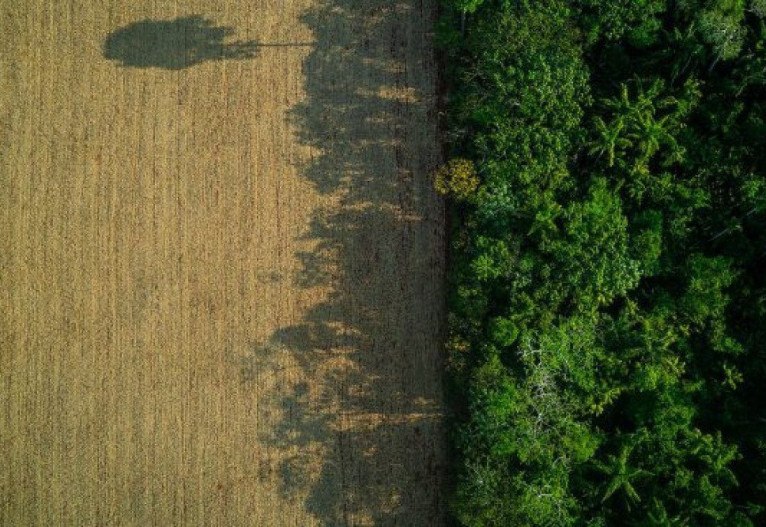 Clima já mudou, e adaptação é urgente, afirmam especialistas