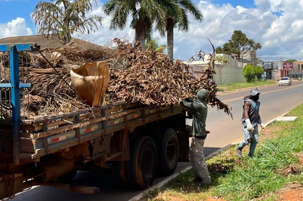 Mais de 40 toneladas de lixo são retiradas de Vicente Pires