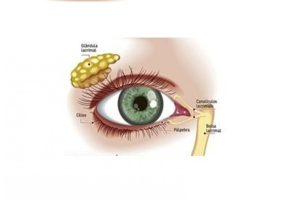 Estilo de vida pode deixar olhos secos e comprometer a saúde oftalmológica