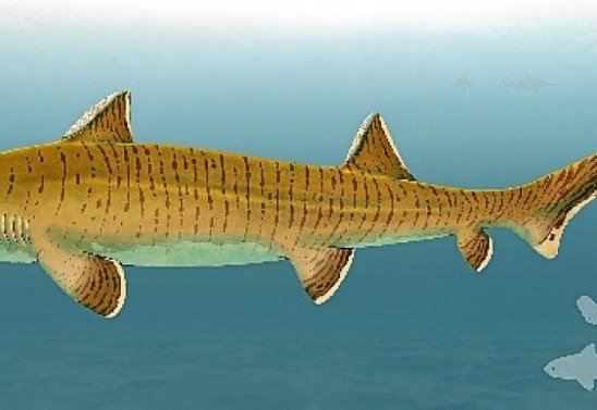 Universidade de Viena/Divulgação