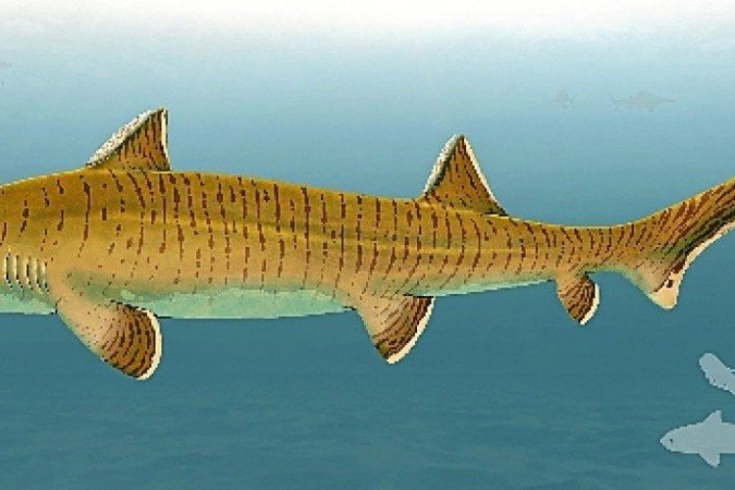  (crédito: Universidade de Viena/Divulgação)