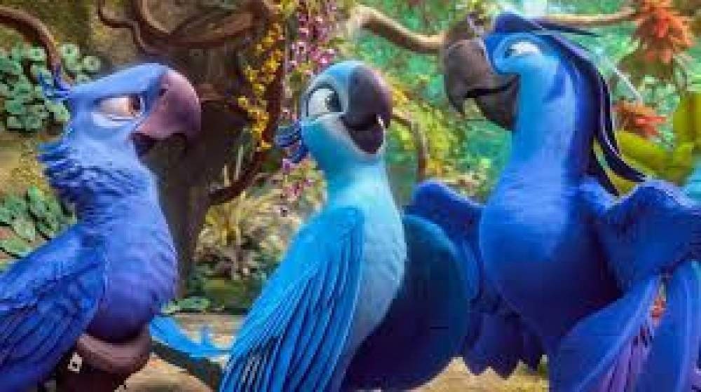 Sessão da tarde: 'Rio 2' é exibido nesta quarta (20)