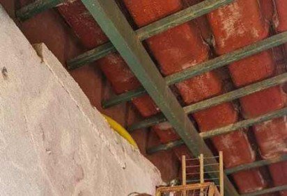 Os pássaros silvestres foram apreendidos em uma residência de Ceilândia