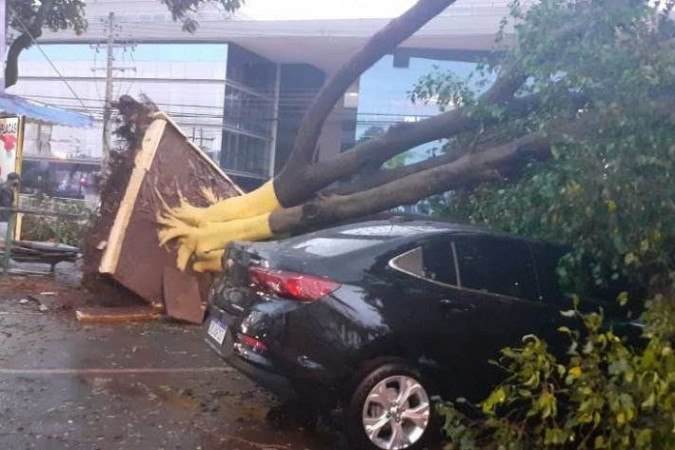 No SIA, Trecho 1, uma árvore cedeu ao temporal e caiu sobre um veículo estacionado no local -  (crédito: CBMDF/Divulgação)
