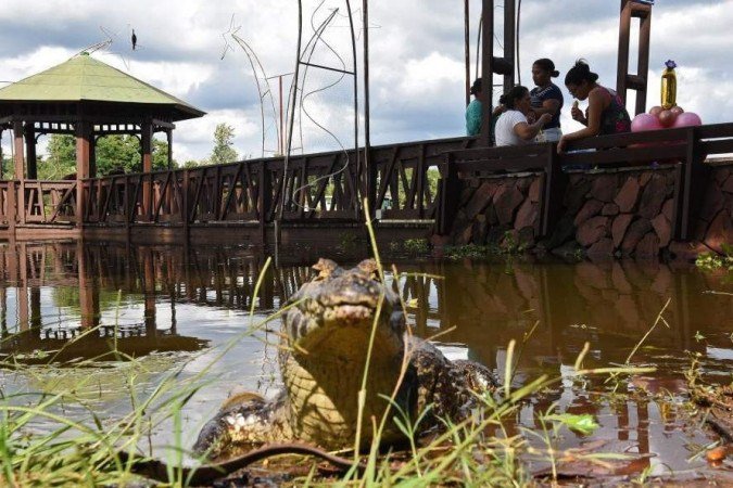  (crédito: NORBERTO DUARTE / AFP)