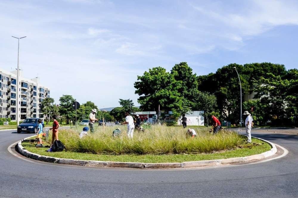 Mutirão faz replantio de primeira rotatória do Cerrado de Brasília