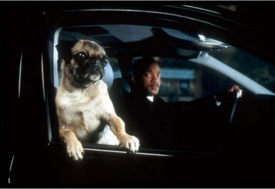 Columbia TriStar/Divulgação