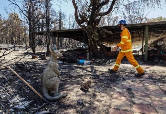 Trevor Collens / AFP