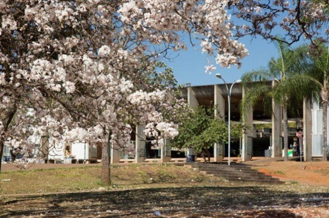  (crédito: Beto Monteiro/Secom UnB)