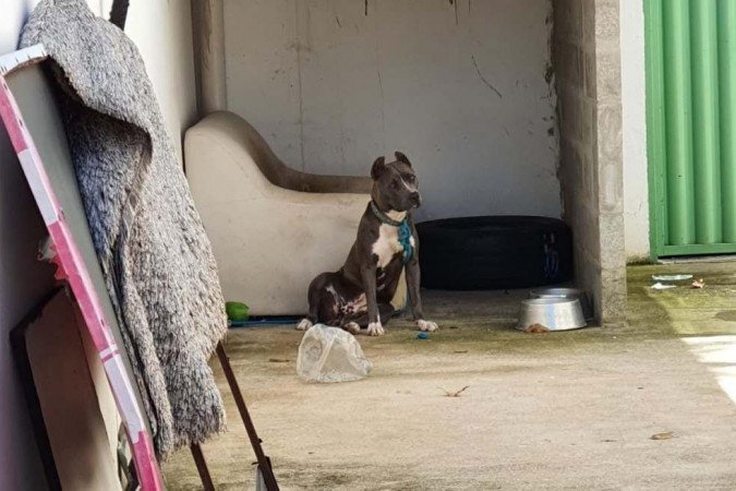  (crédito: PCDF/Divulgação)