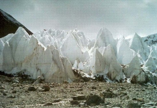 Ohe Byrd PolarClimate Research Center/Reprodução. 