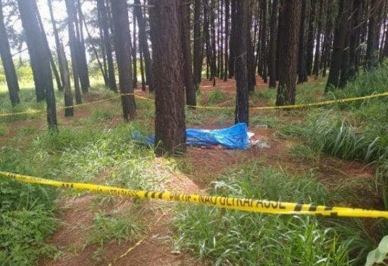 Material cedido ao Correio