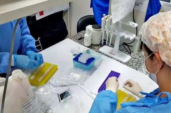  (crédito: Marcílio Lana/UFMG/Divulgação)