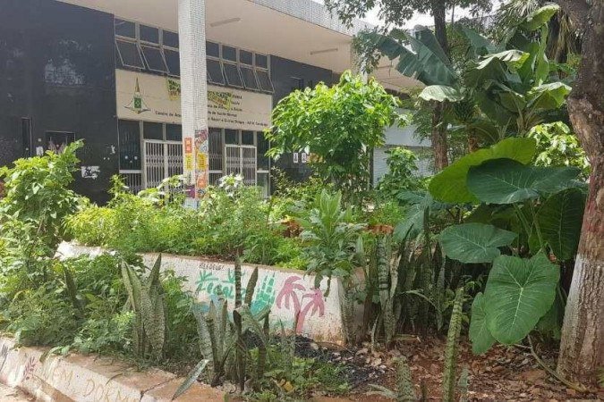 O local era mantido com a ajuda de voluntários do Coletivo Aroeira e do Instituto No Setor