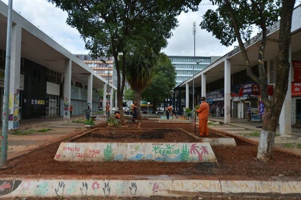 Horta comunitária no Setor Comercial Sul é destruída pela Novacap