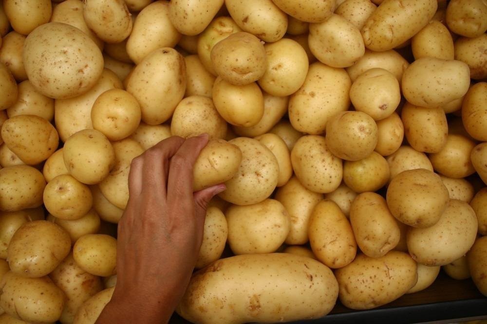 IGP-10 de fevereiro acelera a 2,97%, diz FGV