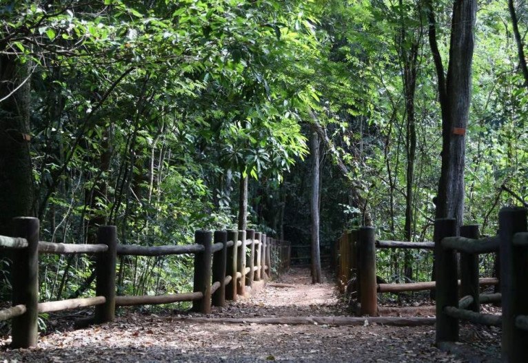 Piscinas da Água Mineral reabrem após 20 meses fechadas - Notícias - R7  Brasília