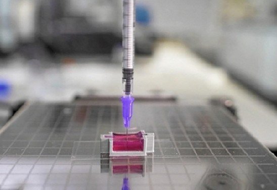 Universidade de South Wales/Divulgação