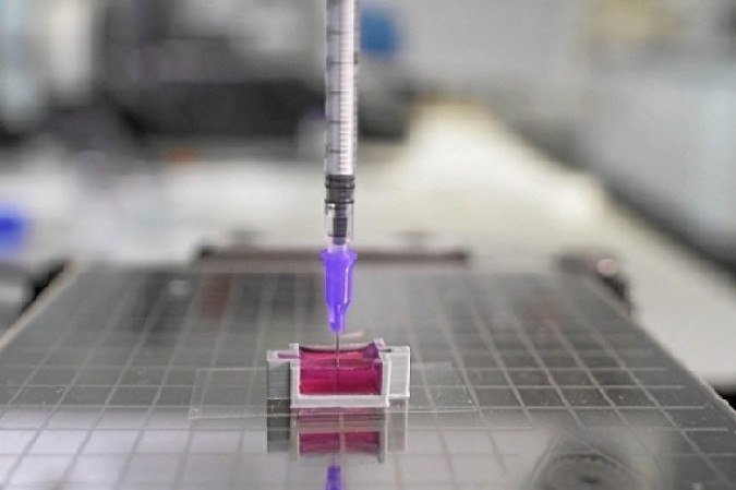  (crédito: Universidade de South Wales/Divulgação)