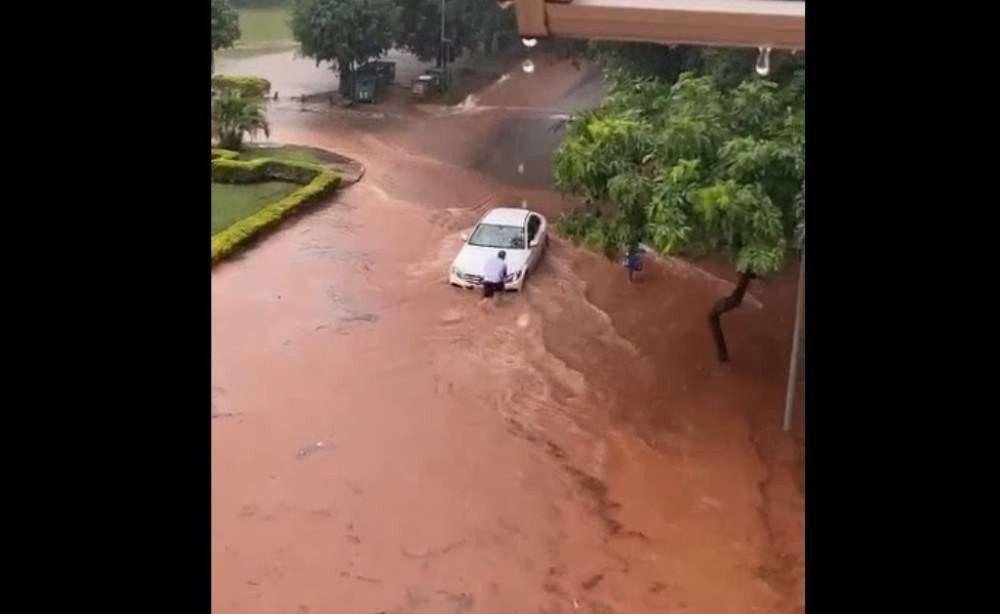 Chuva Asa Norte