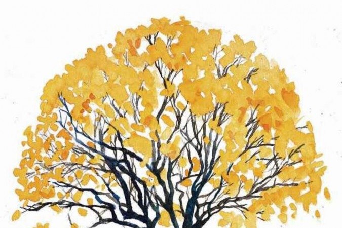  (crédito: Kleber/CB/D.A Press )