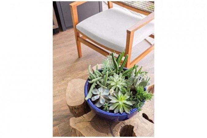 Nesta proposta da Meet Arquiteturas, várias espécies dividem o mesmo vaso