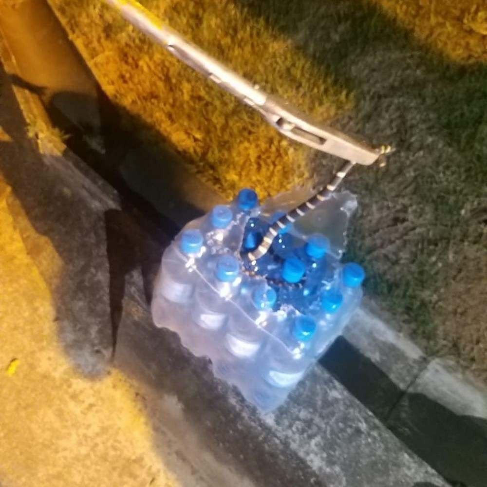 serpente encontrada em fardo de água em Itajaí