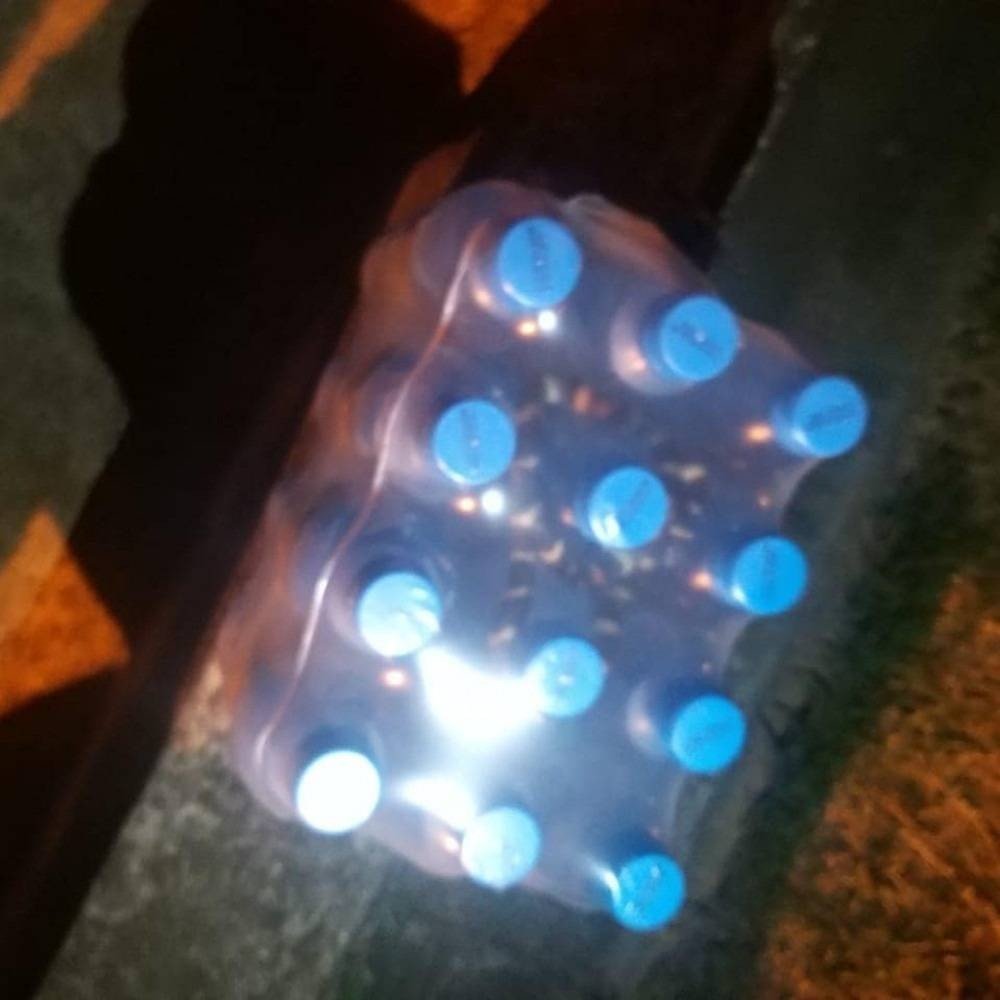 serpente encontrada em fardo de água em Itajaí