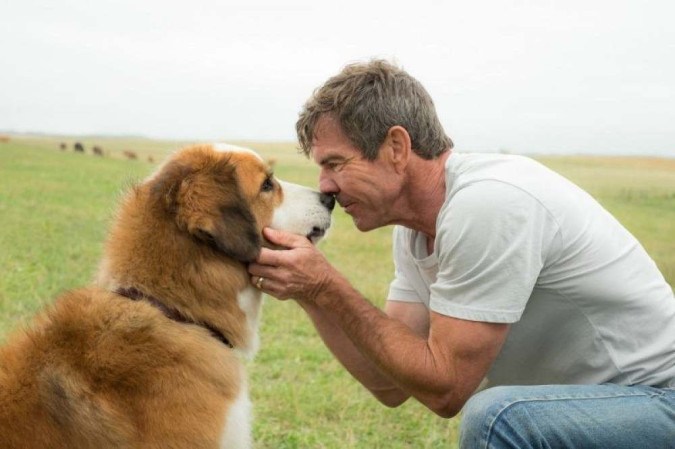 Rede Globo > filmes - Sessão da Tarde: 'Jogo do Amor' traz atores