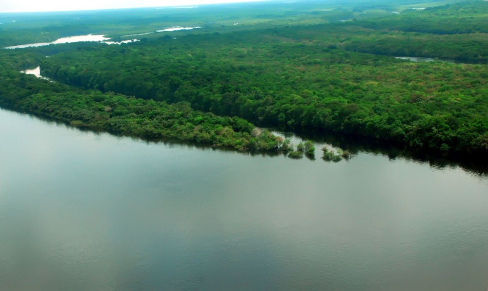 A  Amazônia e os bens públicos globais