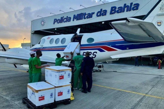 (crédito: Secretaria da Saúde da Bahia (Sesab)/ divulgação ) (crédito: Secretaria da Saúde da Bahia (Sesab)/ divulgação )