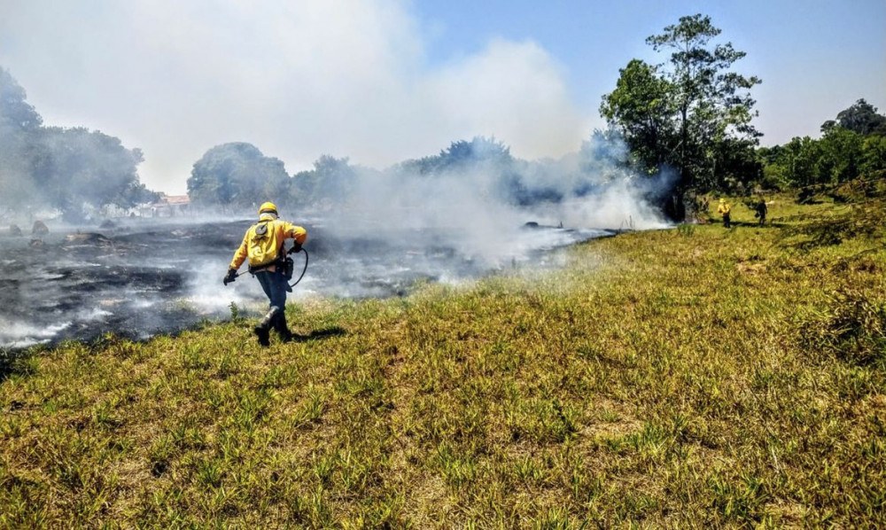 Brasília Ambiental capacita mais de 33 participantes em curso de conservação 