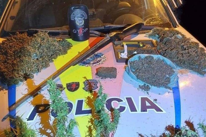 Policiais militares agiram na área da Ponte Alta (Gama), local em que conseguiram apreender 50 pés de maconha -  (crédito: Soinp/ Divulgação)