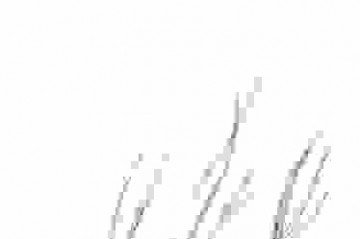  (crédito: Editoria de arte)