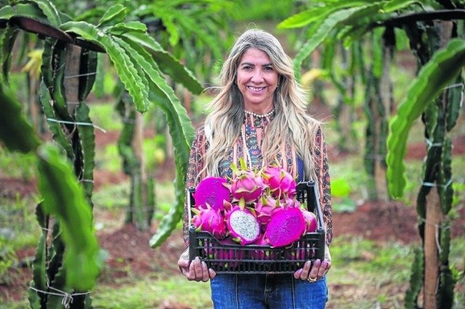 Sandra Vitoriano: Sandra Vitoriano: