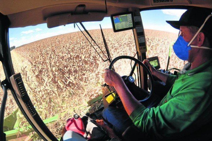 A produção agrícola no Distrito Federal tem sustentado a economia, mesmo diante da crise provocada pela covid-19 - (crédito: Ed Alves/CB/D.A Press - 13/8/20) A produção agrícola no Distrito Federal tem sustentado a economia, mesmo diante da crise provocada pela covid-19 - (crédito: Ed Alves/CB/D.A Press - 13/8/20)